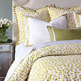 Ashbury Euro Sham