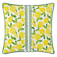 Knowles Ball Trim Decorative Pillow