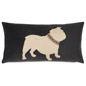 Bulldog With Collar