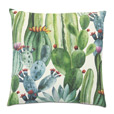 Agave Cactus Decorative Pillow
