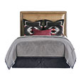 ANDES BEDSET