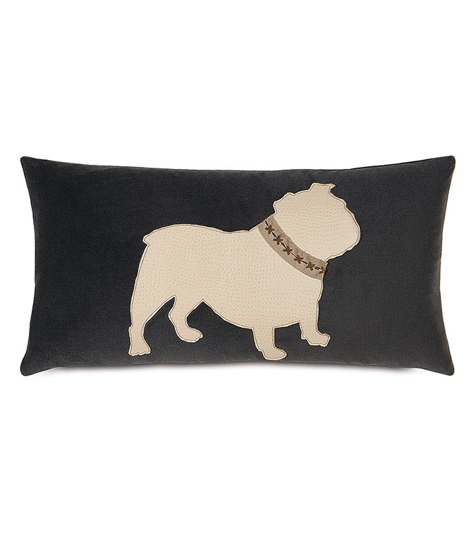 Bulldog With Collar