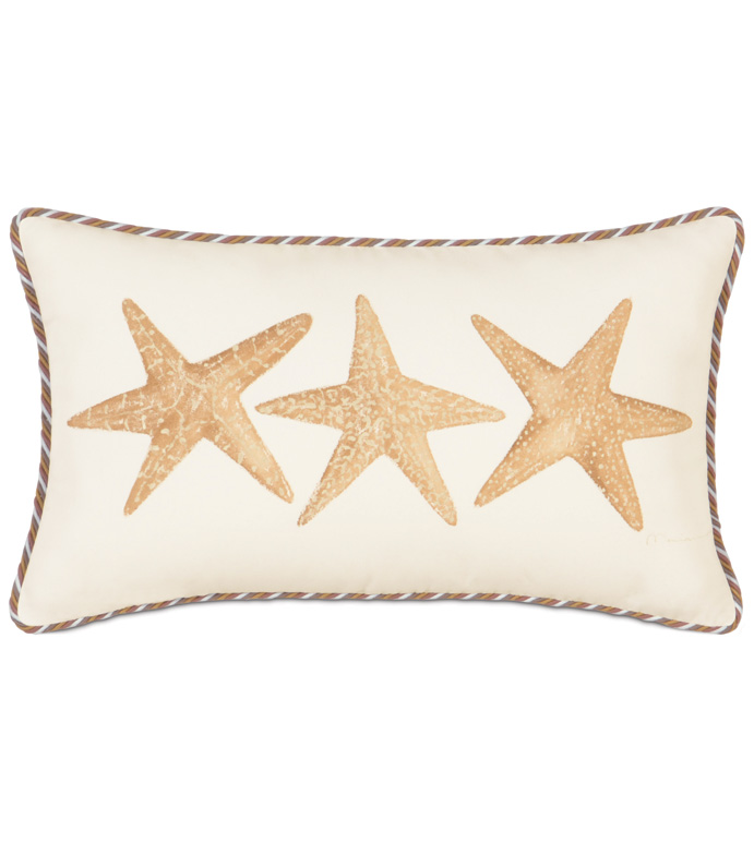 Hand-Painted Starfish