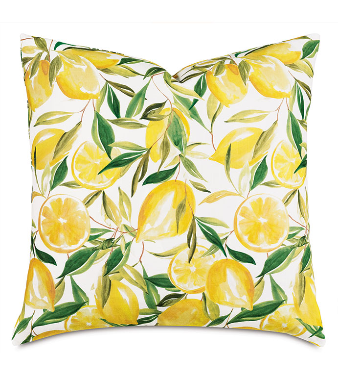 Meyer Lemons Decorative Pillow