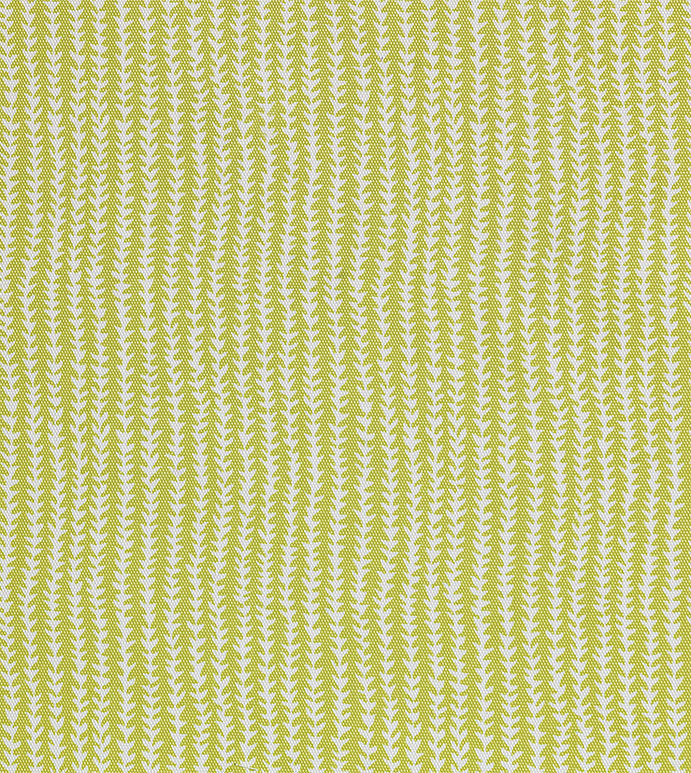 Bermuda Lime