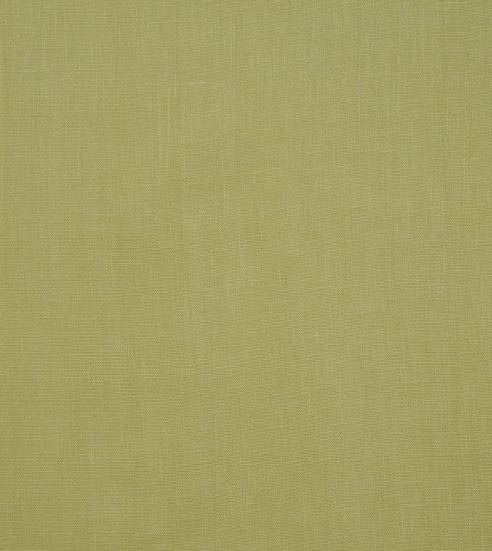 Breeze Palm