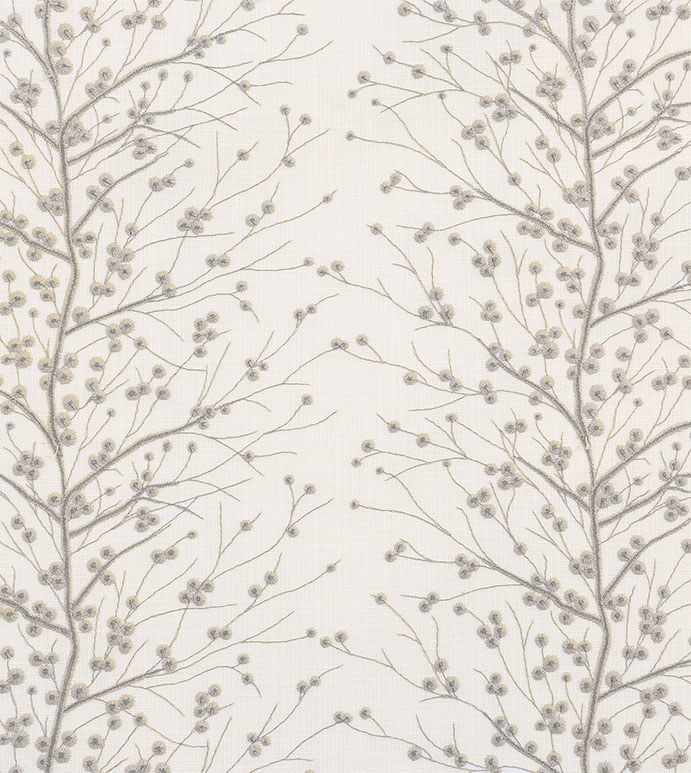 Habersham Birch