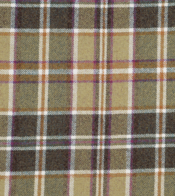 Elgin Olive