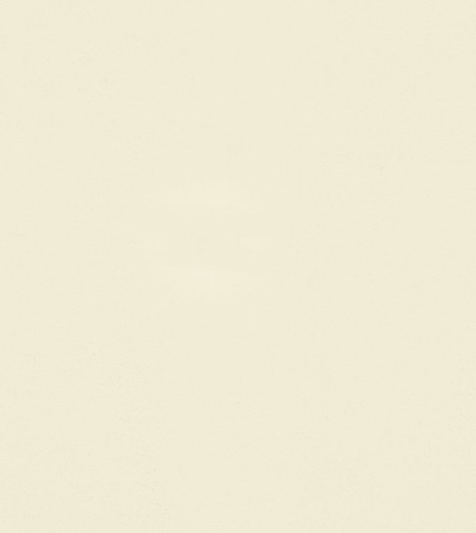 VANTH IVORY LINING