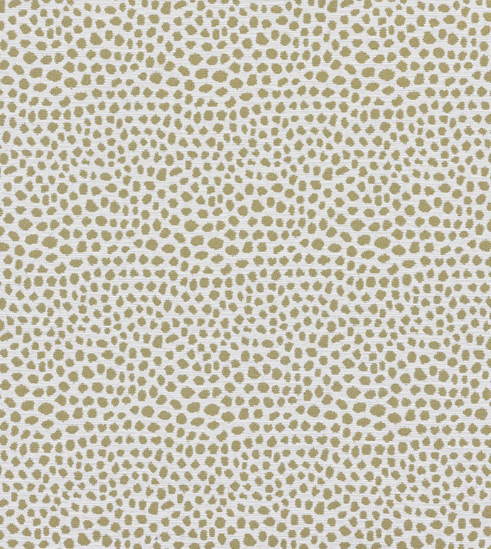 FIBI GOLDENROD