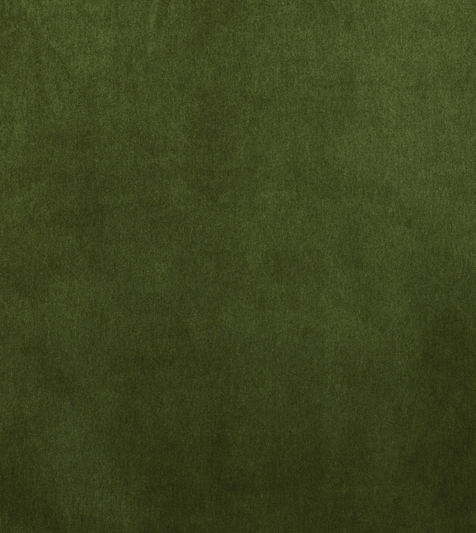 BRAHMS FERN