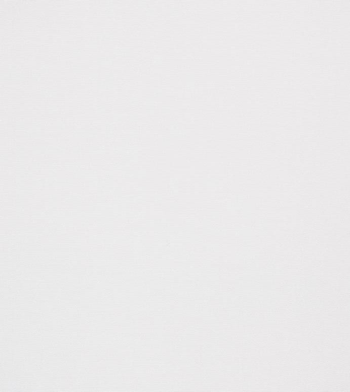 SAIL WHITE