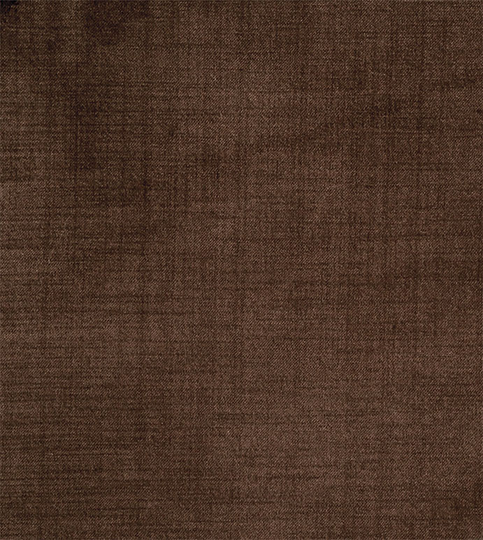 Lucerne Mocha