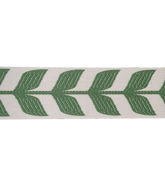 Border Akela A Green