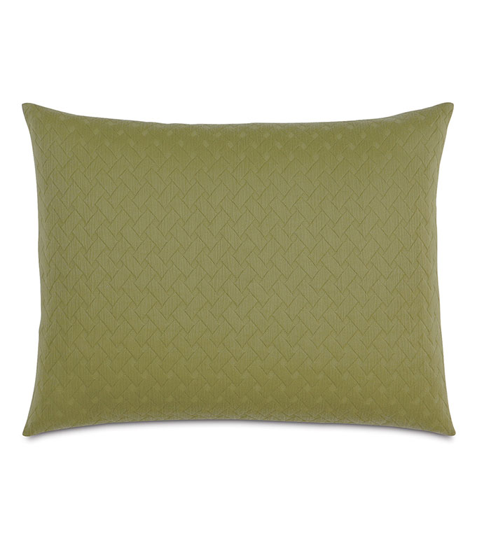 Briseyda Palm Standard Sham