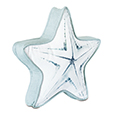 Bimini Starfish Decorative Pillow