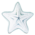 Bimini Starfish Decorative Pillow