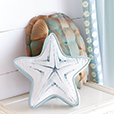 Bimini Starfish Decorative Pillow