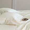 Gianna Classic Ivory Boudoir Sham