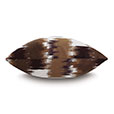 Shea Woven Decorative Pillow in Chocolate