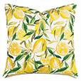 Meyer Lemons Decorative Pillow