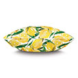 Meyer Lemons Decorative Pillow