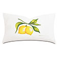 Meyer Handpainted Decorative Pillow