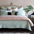 Mint Punch Botanical Euro Sham In Salmon