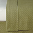 Briseyda Palm Coverlet
