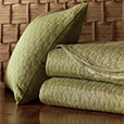 Briseyda Palm Coverlet