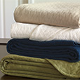 Briseyda Palm Coverlet