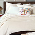 Briseyda Shell Coverlet