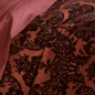 Petra Duvet