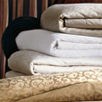 Palazzo Antique Duvet Cover
