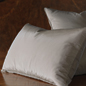 Freda Taffeta Euro Sham in Steel