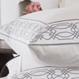 Nicola Embroidered Border Euro Sham in Gray