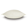 Vail Percale Euro Sham In Ivory