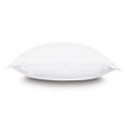 Tessa Satin Stitch Euro Sham in White/White