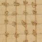Odori Wheat