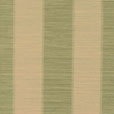Leeward Aloe