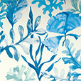 Olympia Azure