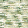 Pinellas Seagrass