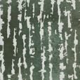 Phylum Green