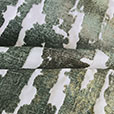 Phylum Green