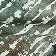 Phylum Green