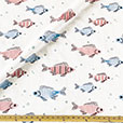 Minnow