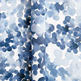 ARCUS BLUE