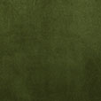 BRAHMS FERN