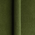 BRAHMS FERN