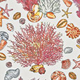 TAMARAMA CORAL